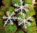 Conjunto de três peças Estrelas Natal